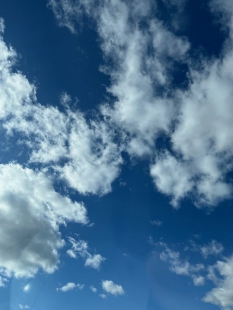 秋の青空