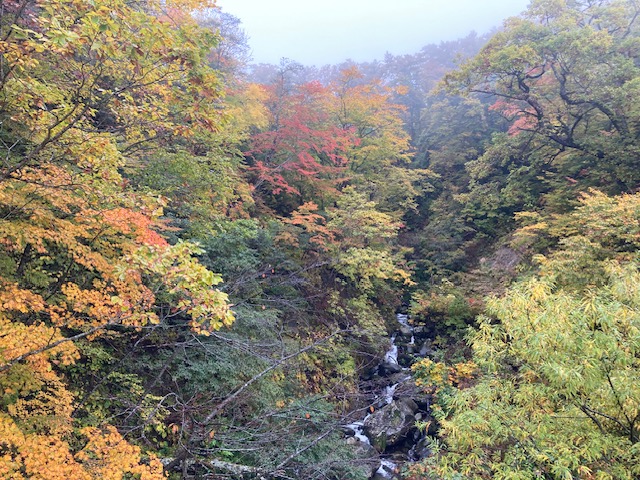 岩手　夏油へ紅葉ドライブ！