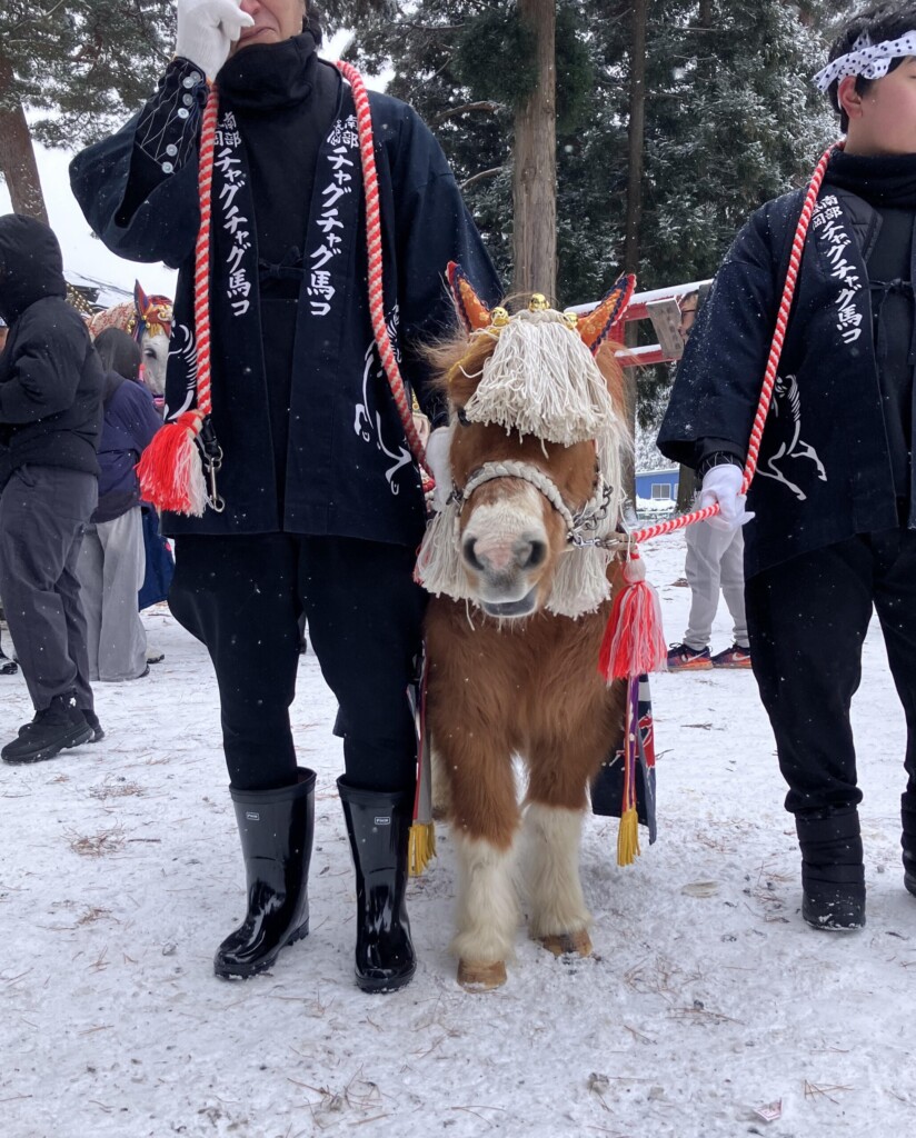 滝沢市の蒼前神社に初詣に行きました。今年は午年ということでチャグチャグ馬コのパレードでたくさんの人が集まっていました！