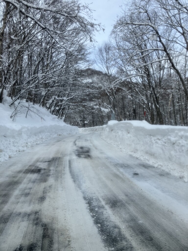 温泉に行ってきました。八幡平は雪の中でした。